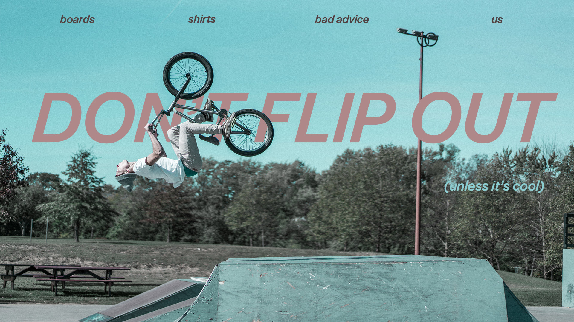 DONT FLIP OUT COVER